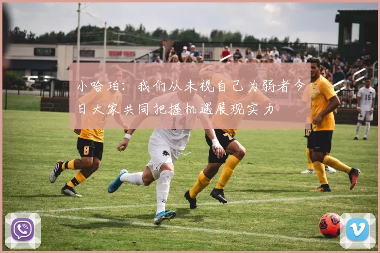 小哈珀：我们从未视自己为弱者今日大家共同把握机遇展现实力