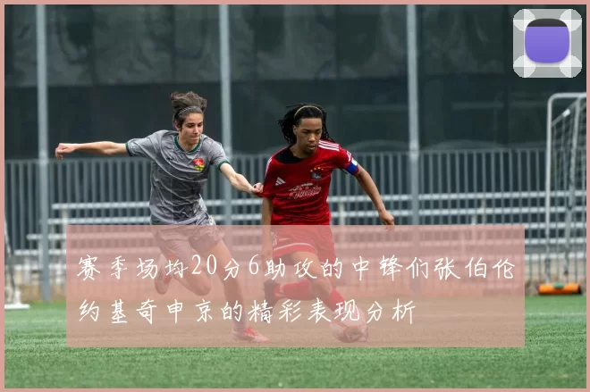赛季场均20分6助攻的中锋们张伯伦约基奇申京的精彩表现分析